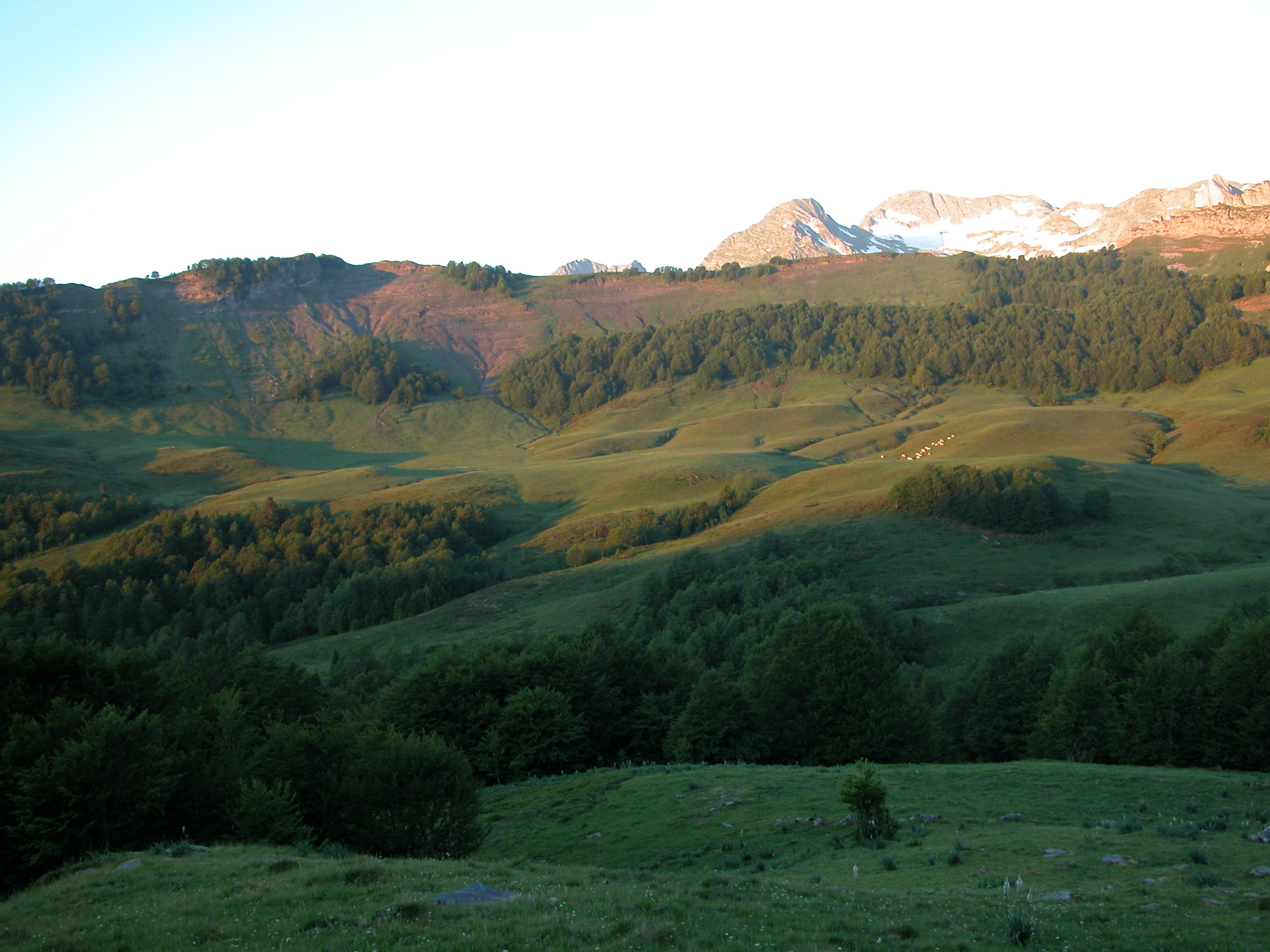 Les terres vallonnées du Béarn.